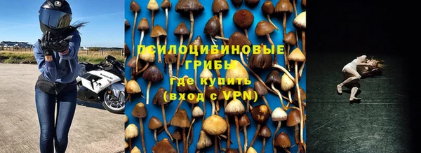 гидропоника Арсеньев