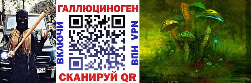 гидра вход  Багратионовск  Псилоцибиновые грибы Magic Shrooms  даркнет сайт 